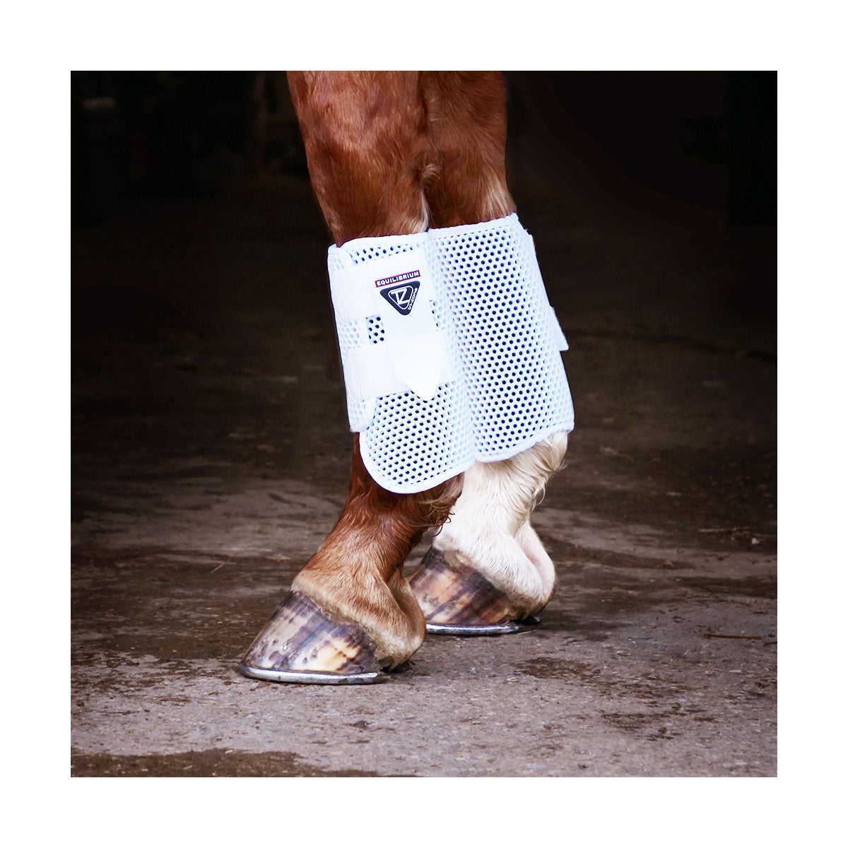 Equilibrium Tri-Zone All Sports Boot image 4