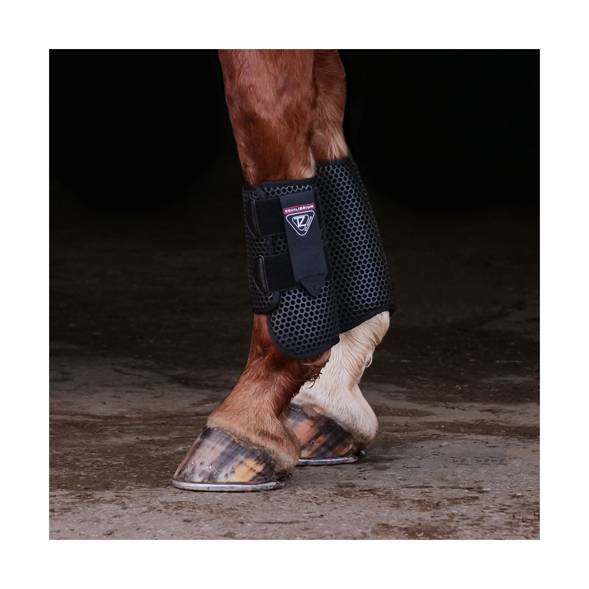 Equilibrium Tri-Zone All Sports Boot image 3
