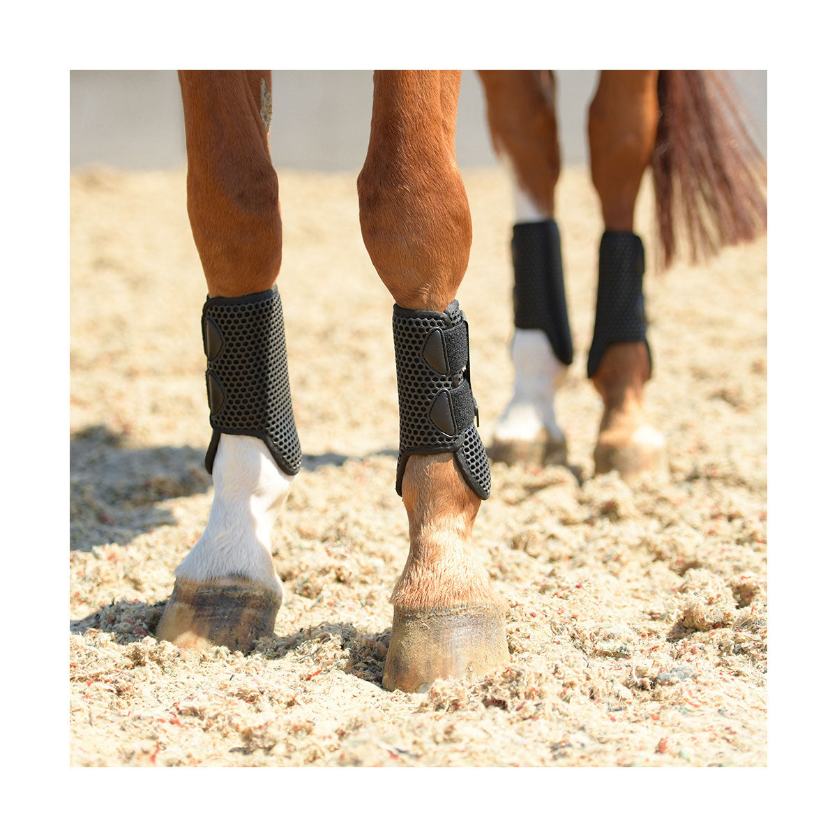 Equilibrium Tri-Zone All Sports Boot image 1