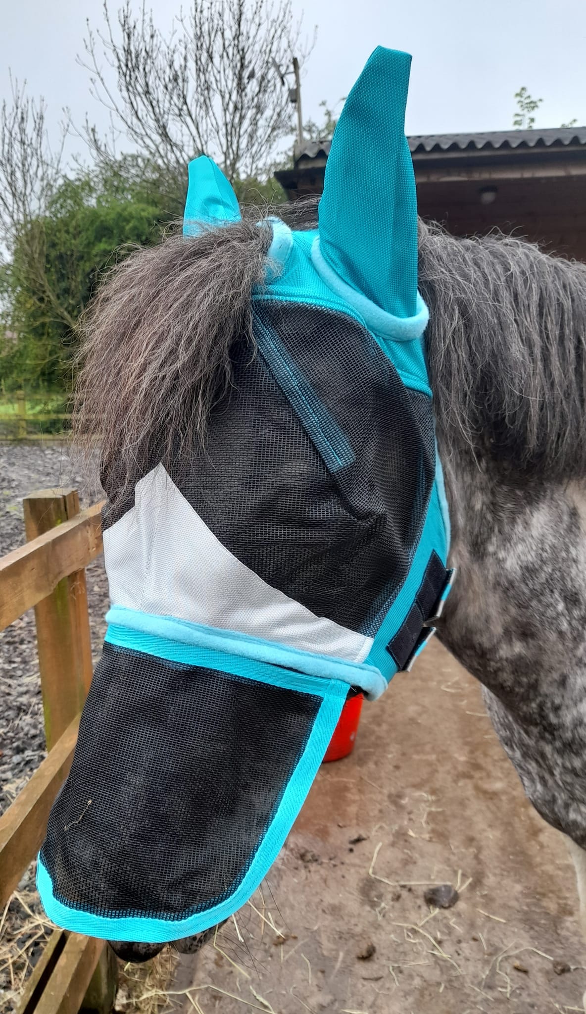 Sheldon Duro Mesh Fly Mask image 0