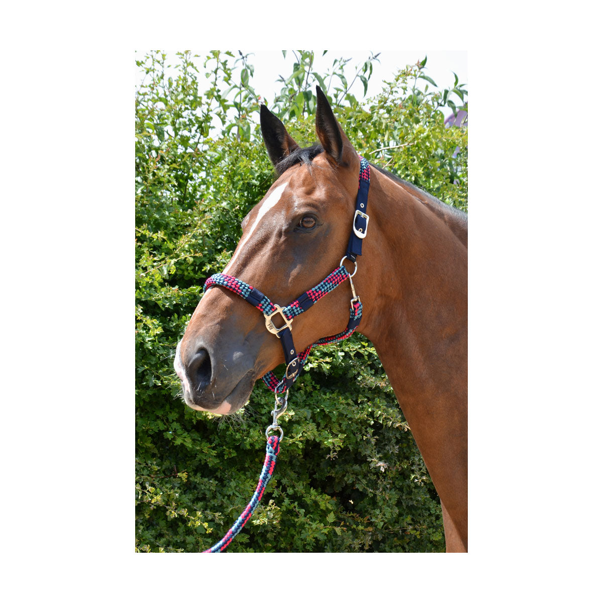 Hy Multicolour Adjustable Head Collar with Rope image 10