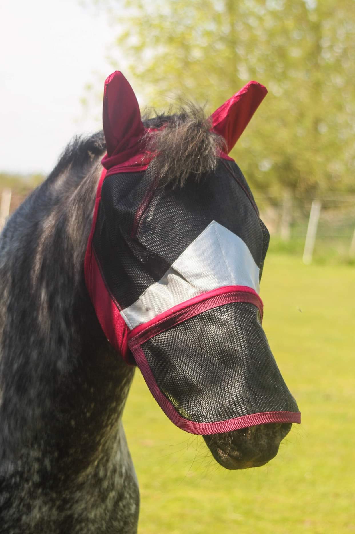 Sheldon Duro Mesh Fly Mask image 3