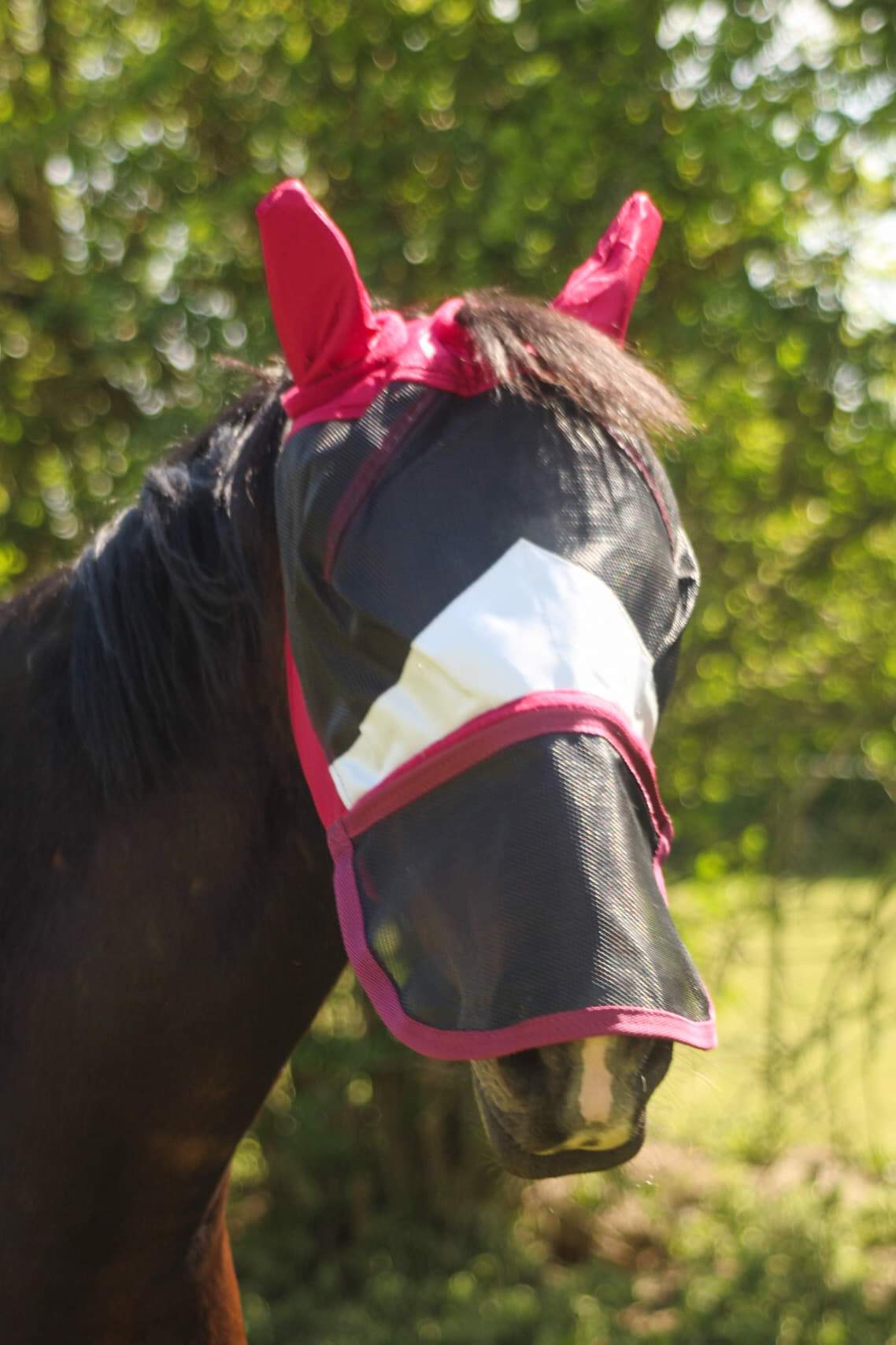 Sheldon Duro Mesh Fly Mask image 4