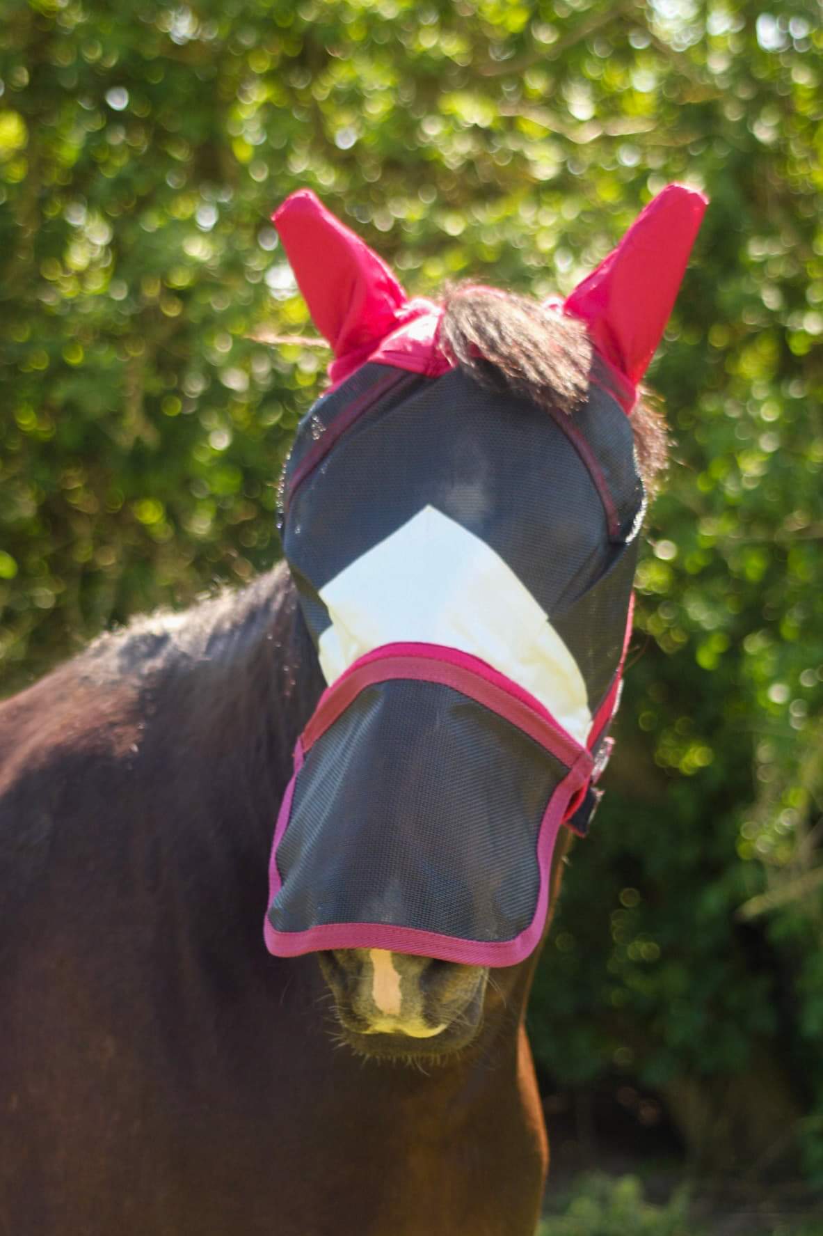 Sheldon Duro Mesh Fly Mask image 2