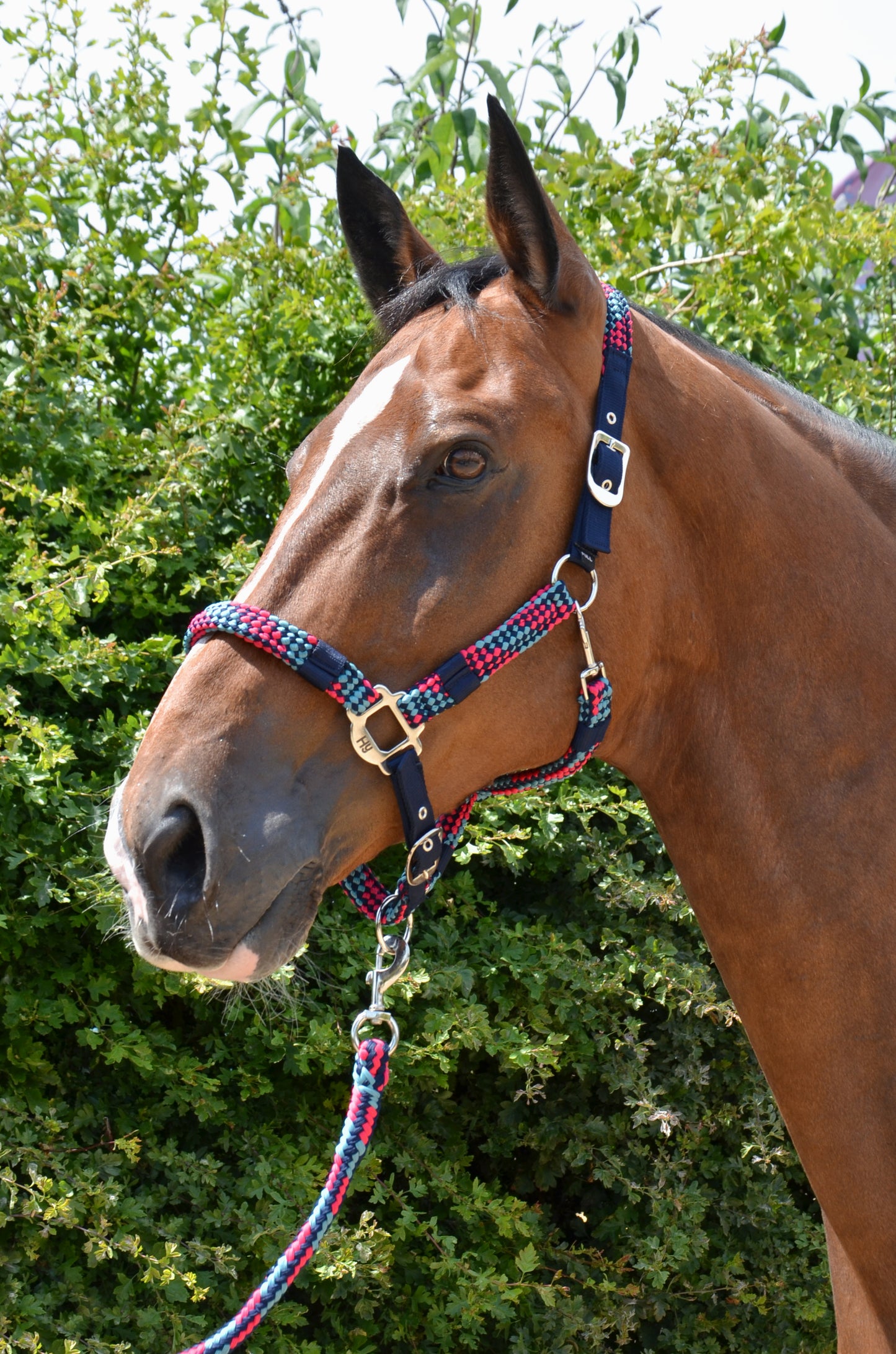 Hy Multicolour Adjustable Head Collar with Rope image 0