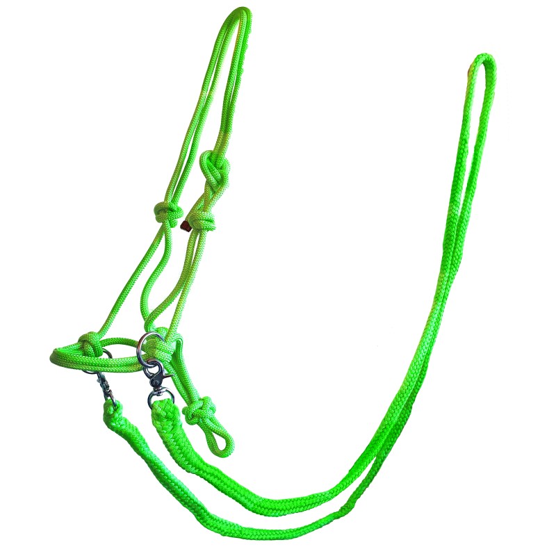 Rope Halter with Reins image 3