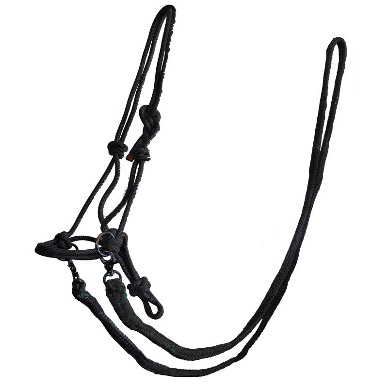 Rope Halter with Reins image 4