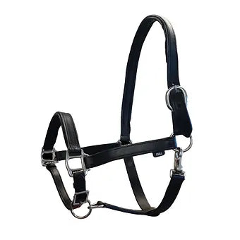 Buxton Padded Leather Headcollar with clip