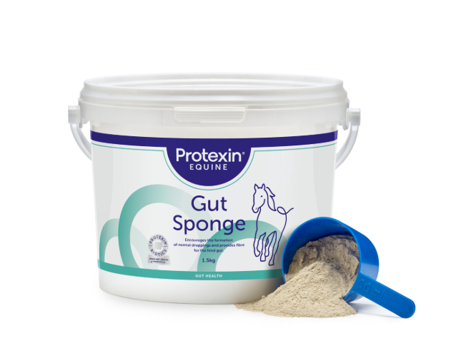 Protexin Equine Premium Gut Sponge