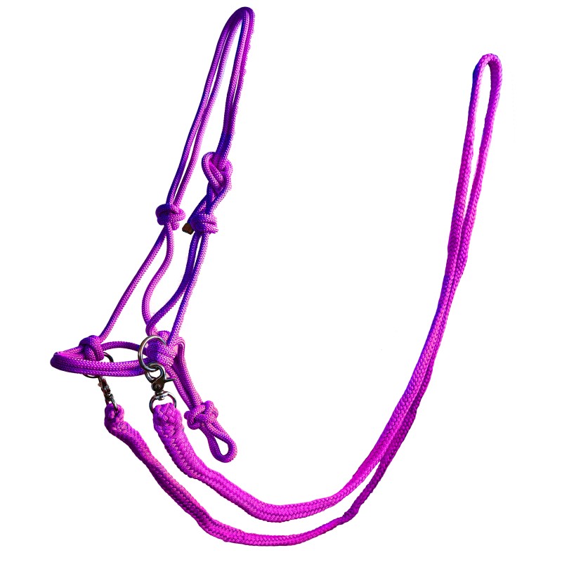 Rope Halter with Reins image 0