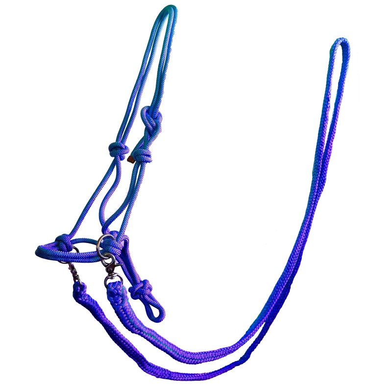 Rope Halter with Reins image 2