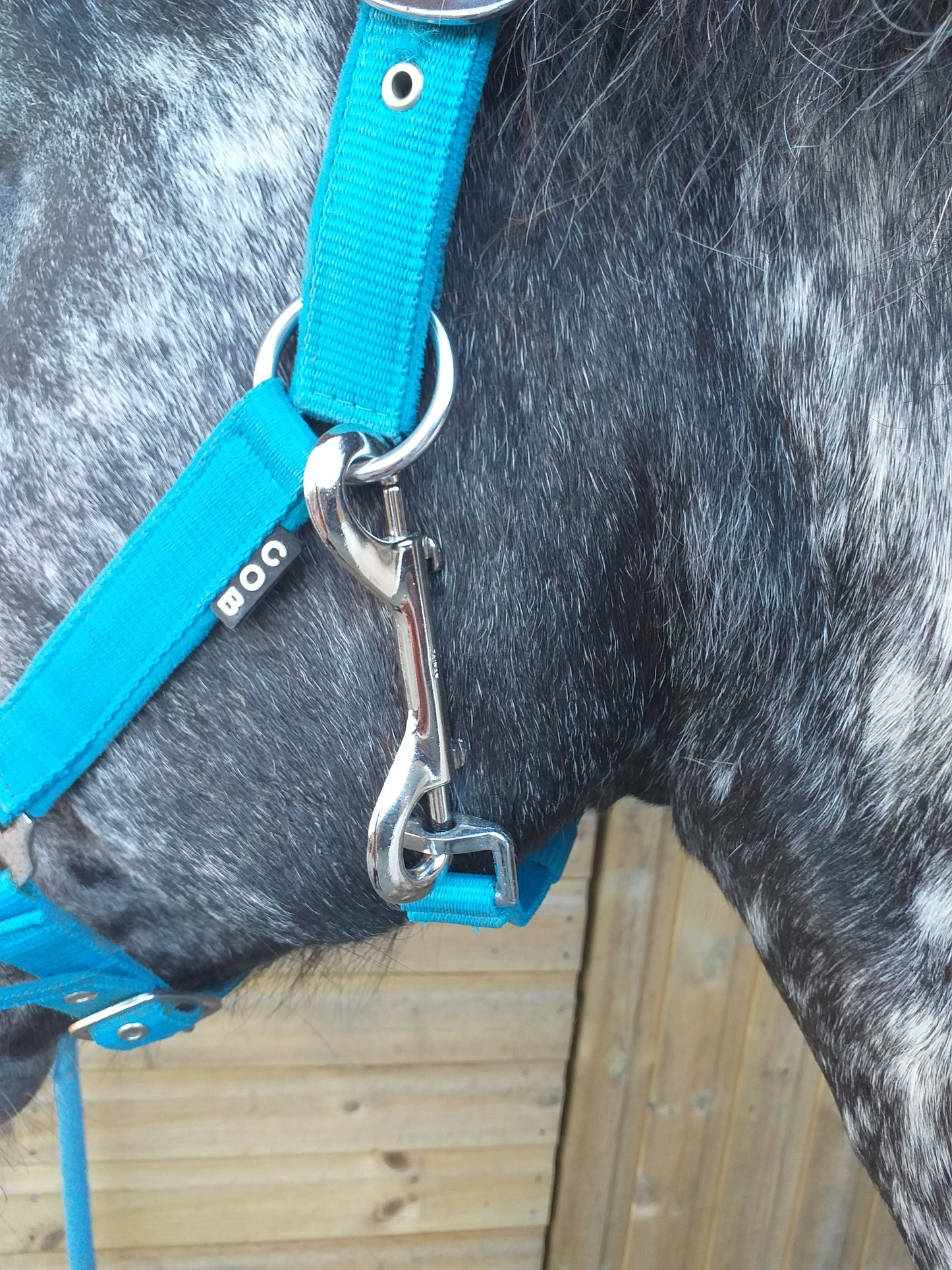 Double Ended Clip image 0