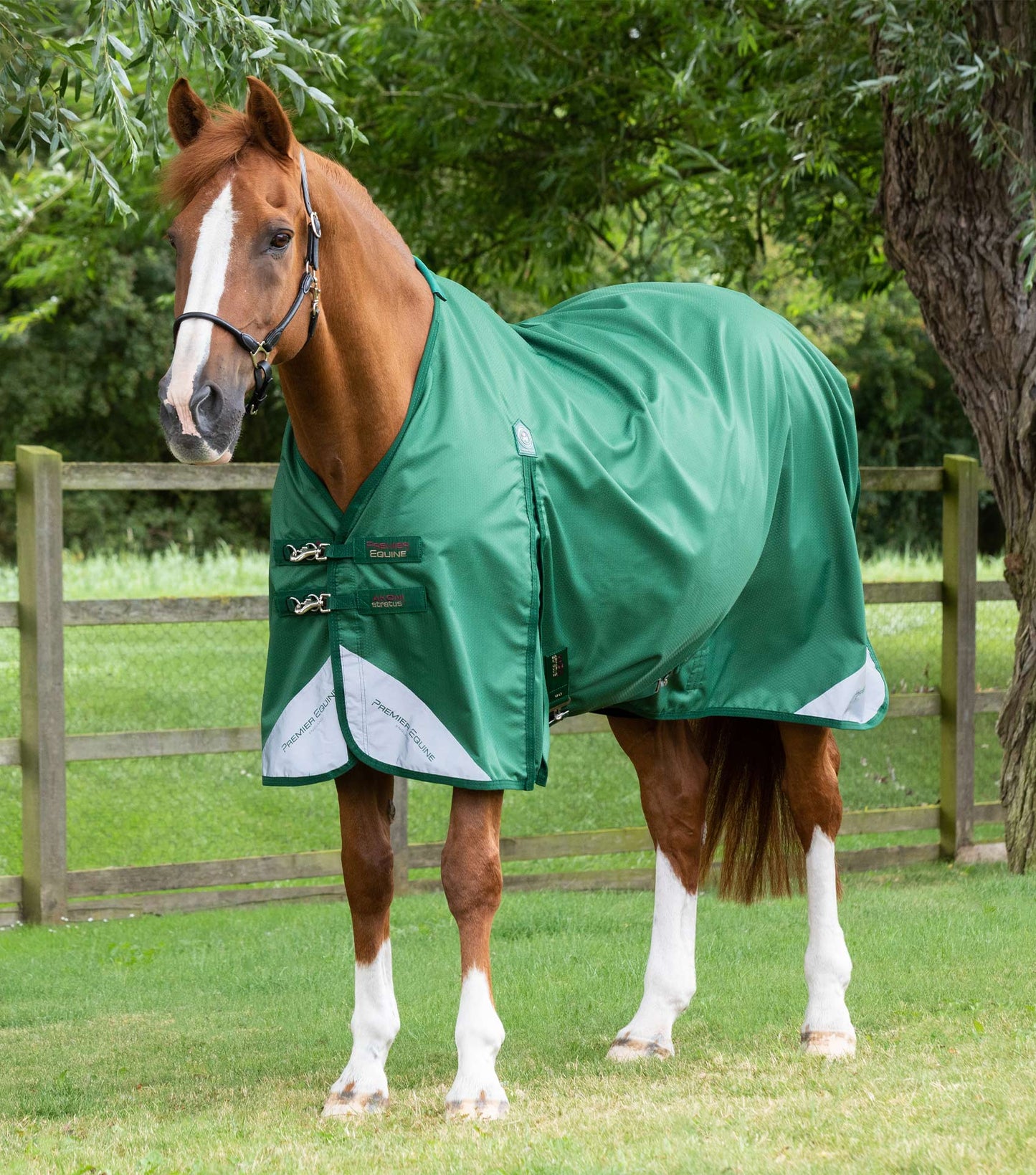 Premier Equine Akoni 0g Turnout Rug with Classic Neck Cover image 6