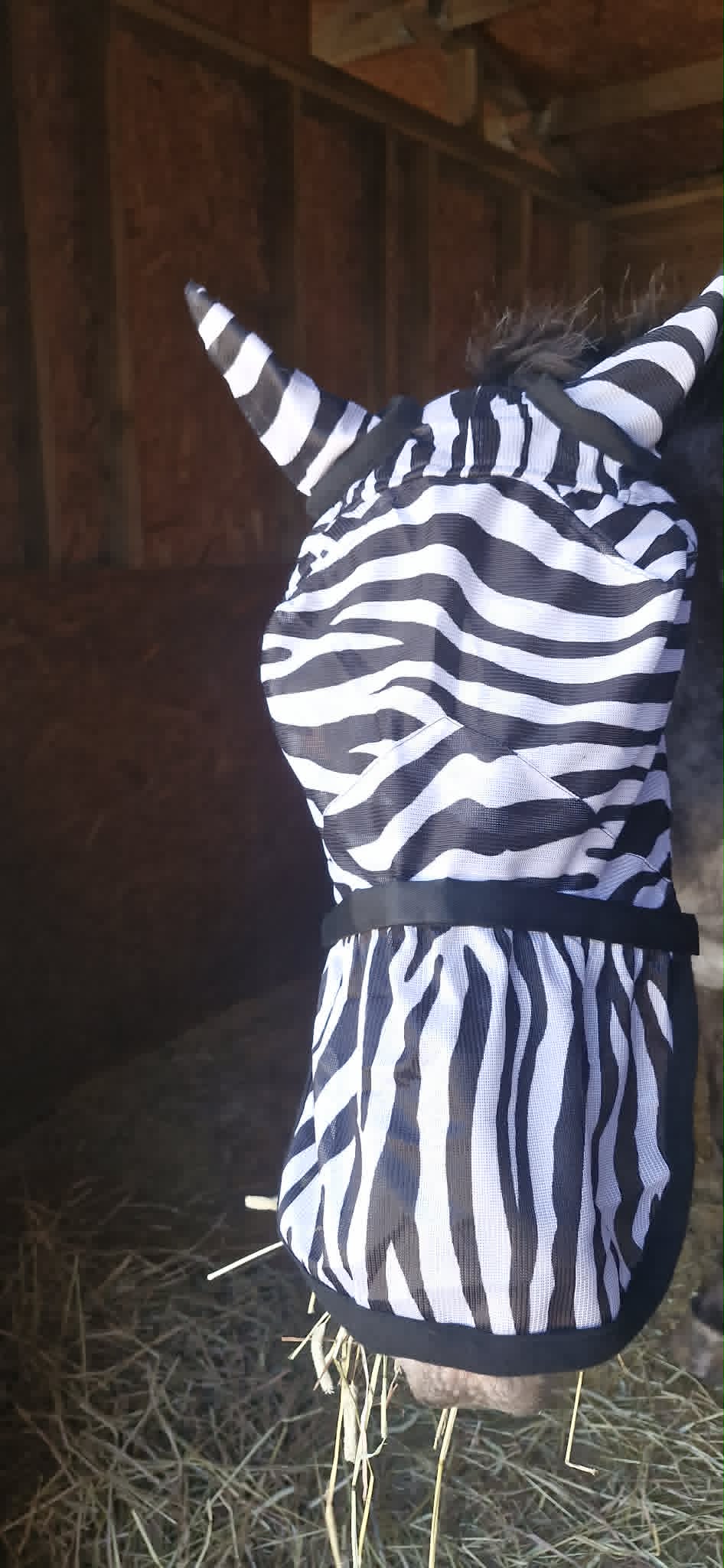 Hy Equestrian Zebra Fly Mask with Ears and Detachable Nose