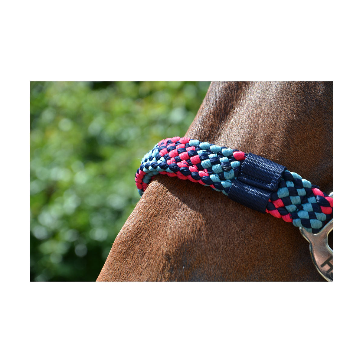 Hy Multicolour Adjustable Head Collar with Rope image 8