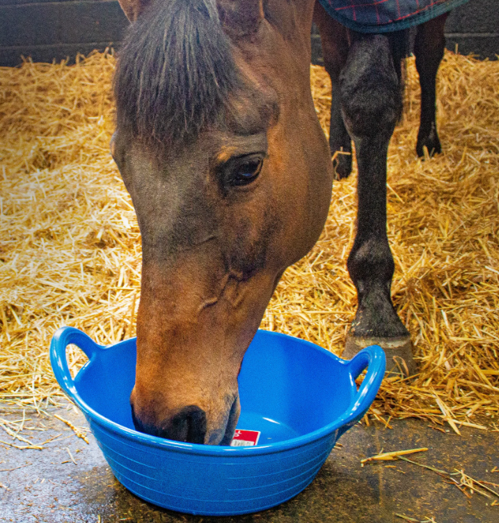 Feeding