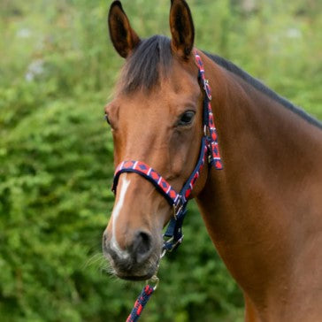 Hy Equestrian Woven Polo Head Collar and Lead Rope image 3