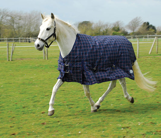 Rhinegold Zeus Outdoor Rug 350g image 0
