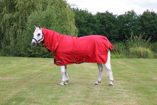 HY Equestrian StormX Original 200g Combi Turnout Rug image 0