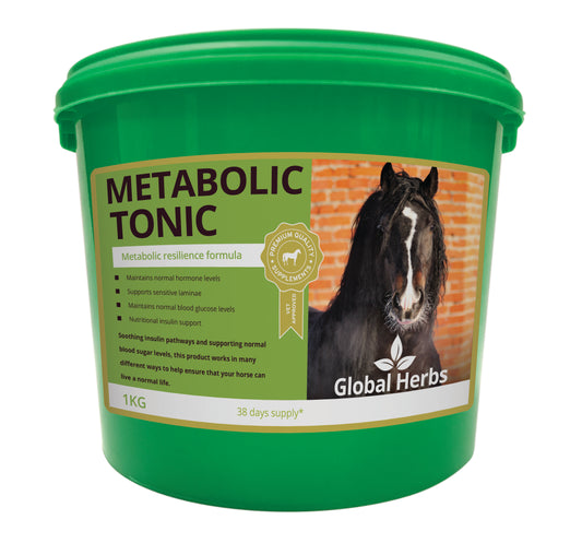Global Herbs Metabolic Tonic image 0