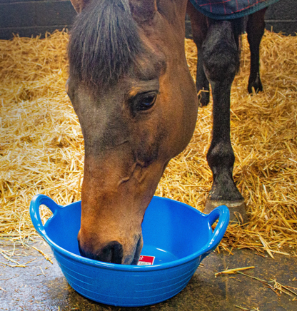 Red Gorilla Plas Small Skip image 3