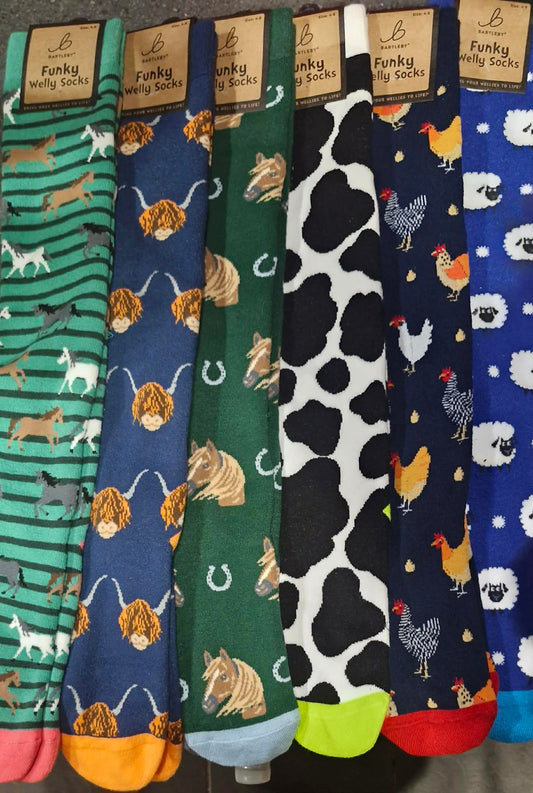 Bartleby Ladies Funky Welly Socks   7 Designs