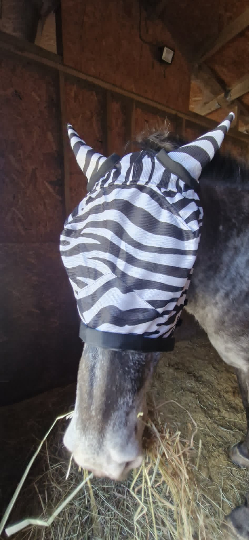 Hy Equestrian Zebra Fly Mask with Ears and Detachable Nose