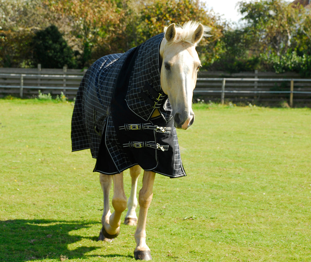 Rhinegold Elite Full Neck Montpelier Outdoor Rug 100g image 1