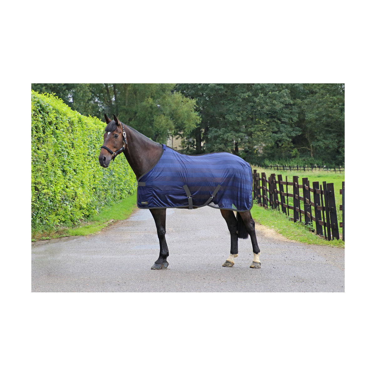 HY Equestrian StormX Original Mesh Cooler Rug image 0