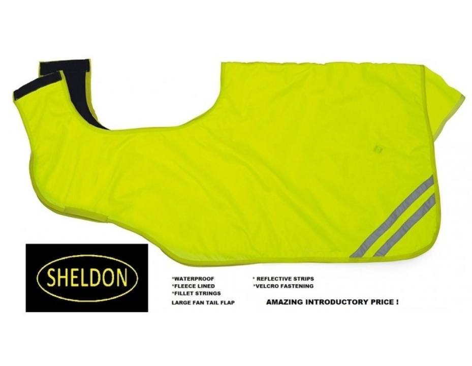Medway Waterproof Hi Viz Exercise Sheet