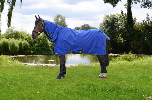 HY Equestrian StormX Original Combi 100g Turnout Rug image 0