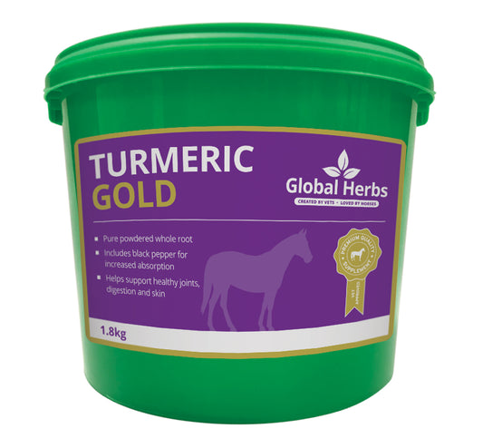 Global Herbs Turmeric Gold image 0