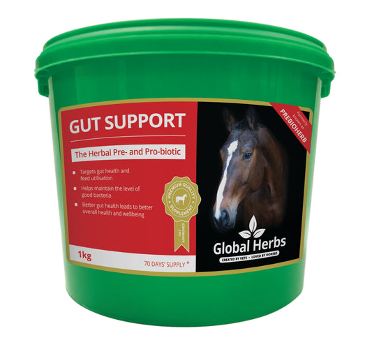 Global Herbs Gut Support image 0