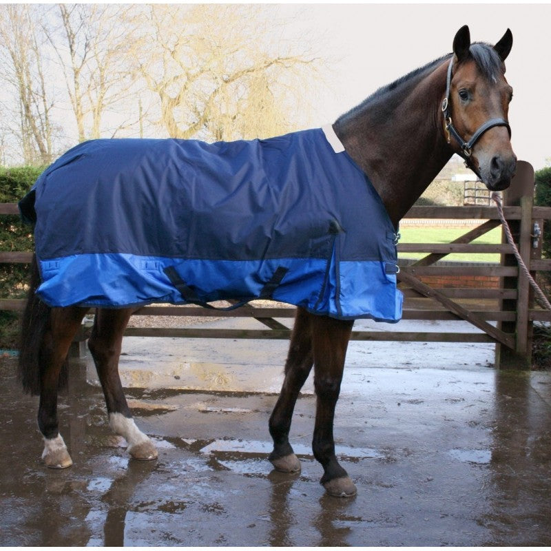 Sheldon Foal Turnout Rug 100g Std Neck image 0