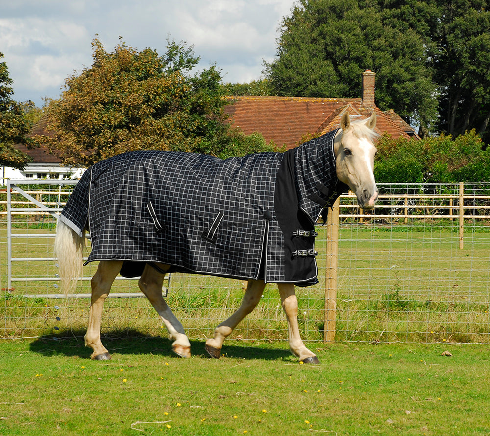 Rhinegold Elite Full Neck Montpelier Outdoor Rug 100g image 2