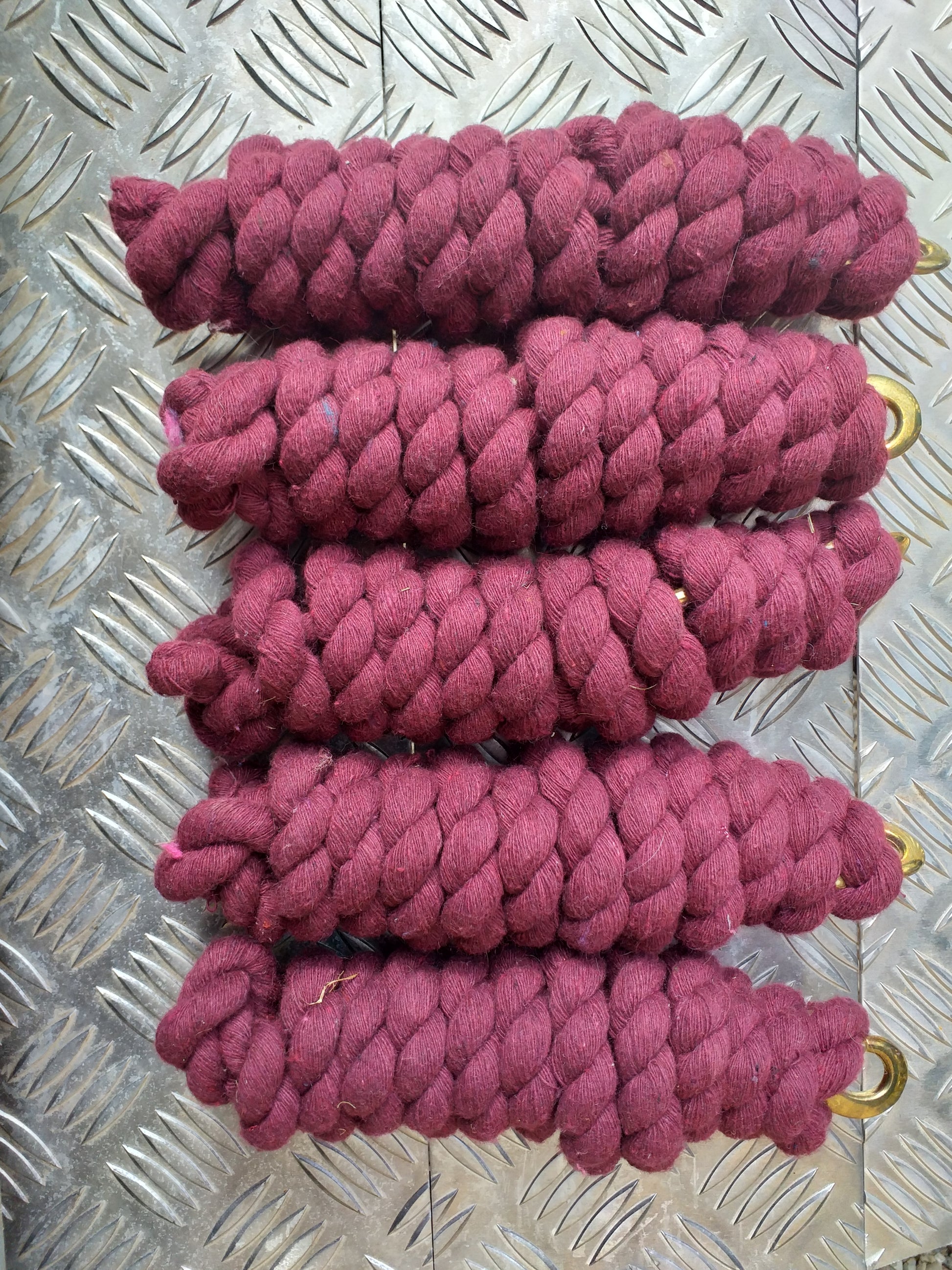 10 Pack Lead Ropes image 4