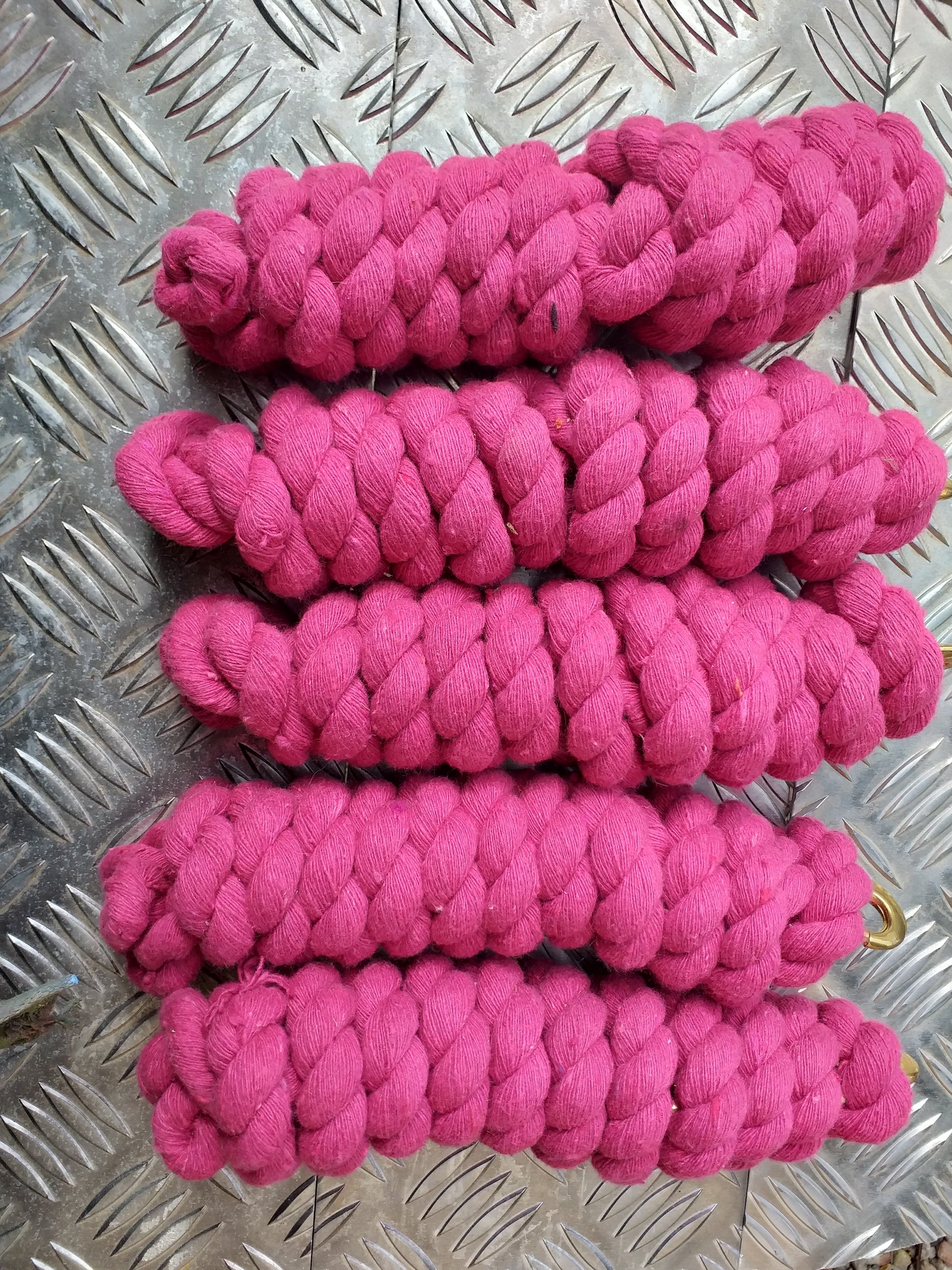 10 Pack Lead Ropes image 5