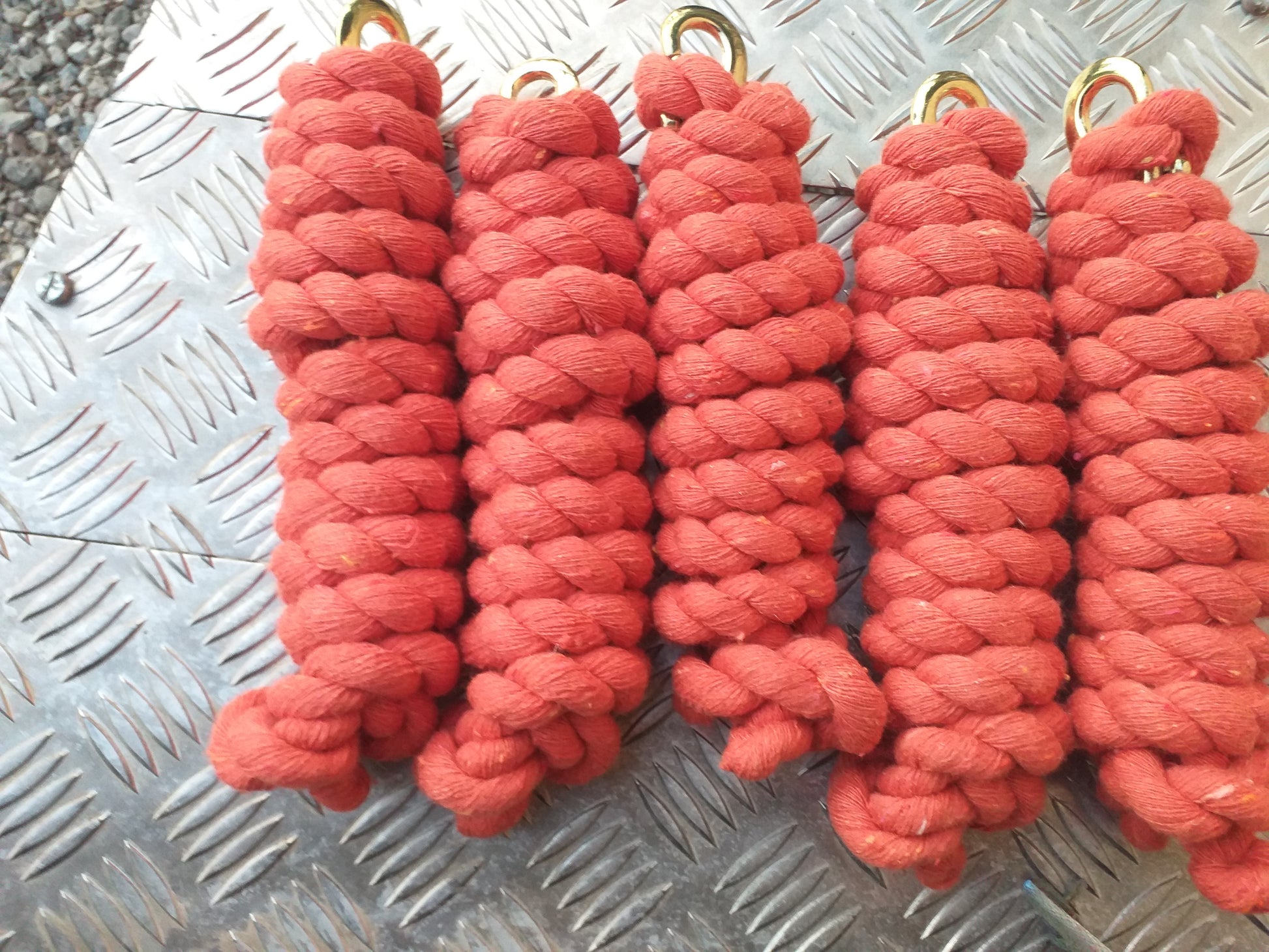 10 Pack Lead Ropes image 2