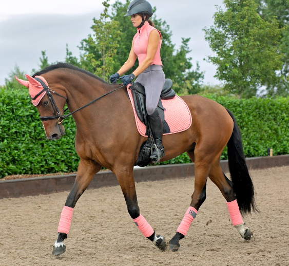 Hy Sport Active Riding Tights image 1