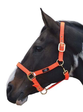 Hy Equestrian Deluxe Padded Headcollar