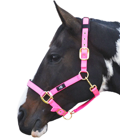 Hy Equestrian Deluxe Padded Headcollar