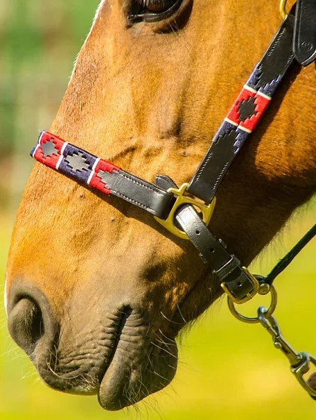 Elano Polo Leather Headcollar