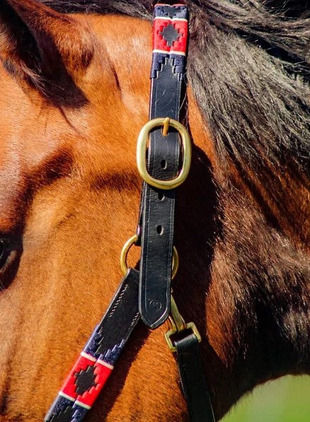 Elano Polo Leather Headcollar