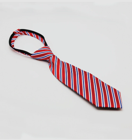 Equetech Regent Stripe Ready-Tied show tie