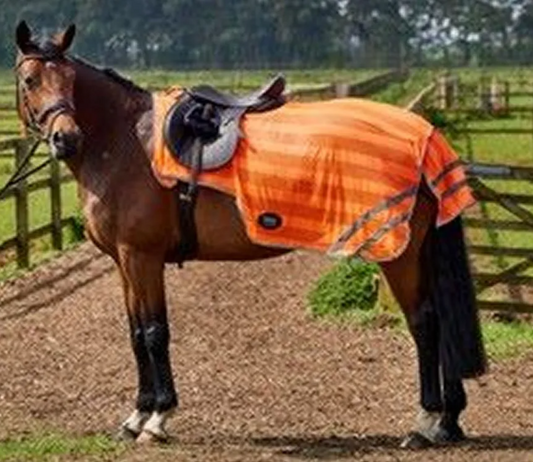 Firefoot Mesh Hi Viz Exercise Sheet