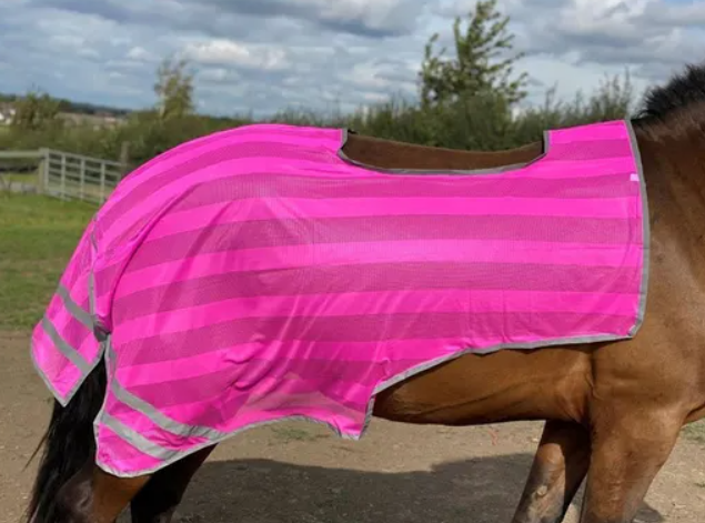 Firefoot Mesh Hi Viz Exercise Sheet