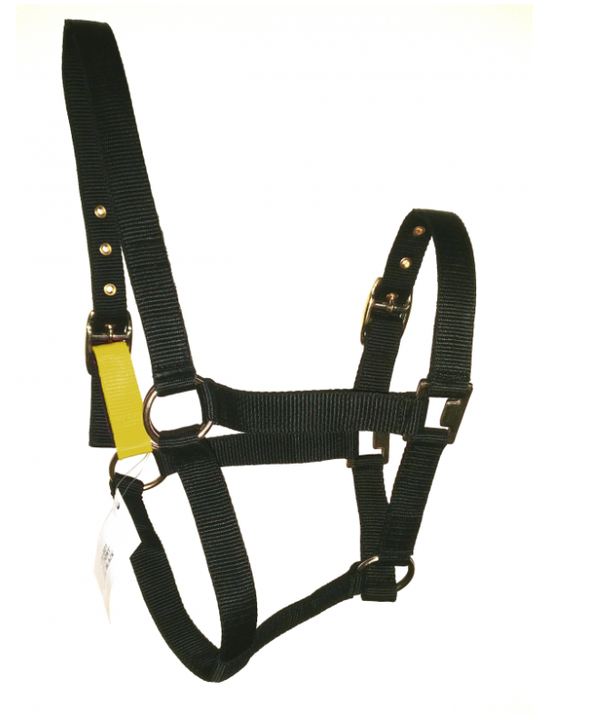 Field Safe Headcollar