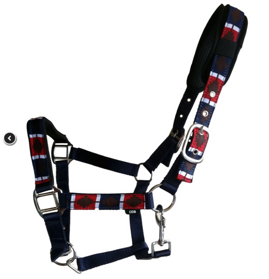 Medway Padded Polo Nylon Headcollars