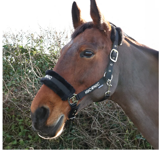 HyCONIC Faux Fur Head Collar & Lead Rope
