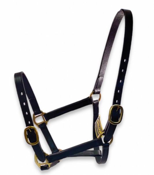 Premium Foal Leather Headcollars